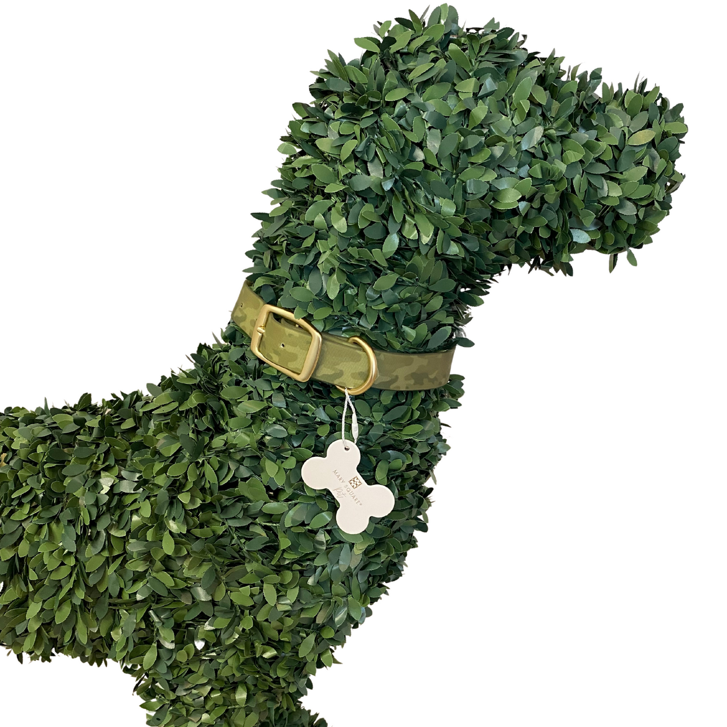 Dog, Dog Accessories, Dog Collars, Pet Accessories